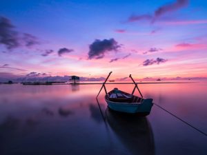 pexels-pixabay-33545-scaled-1.jpg